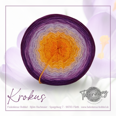 Krokus M.