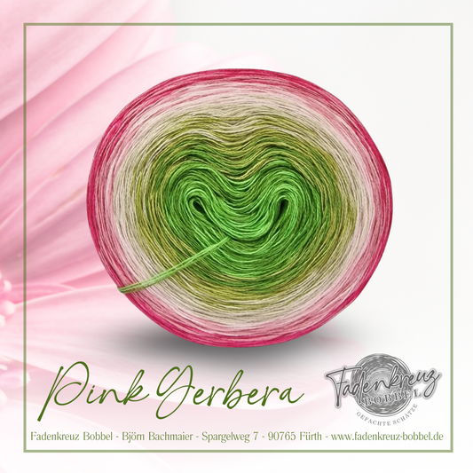 Pink Gerbera