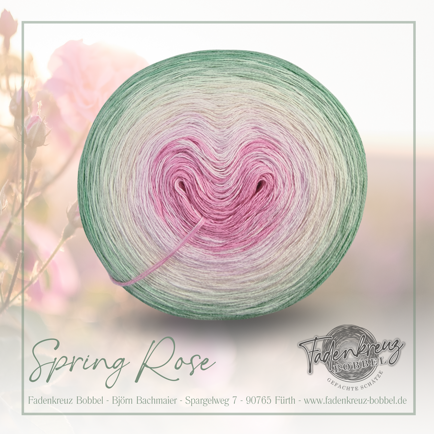 Spring Rose