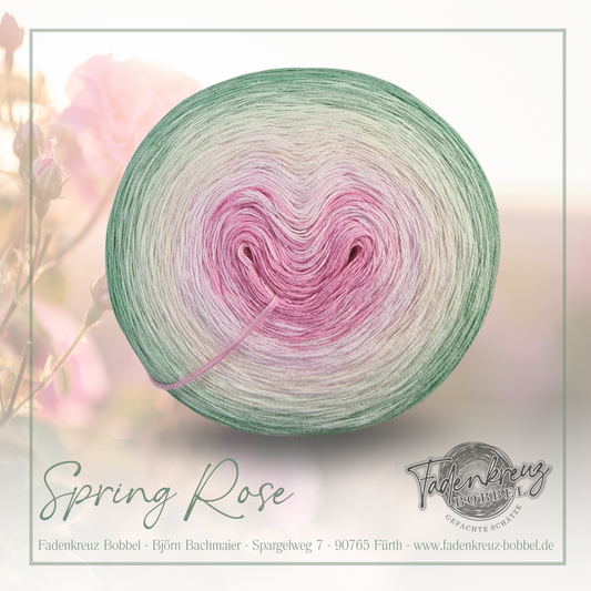 Spring Rose