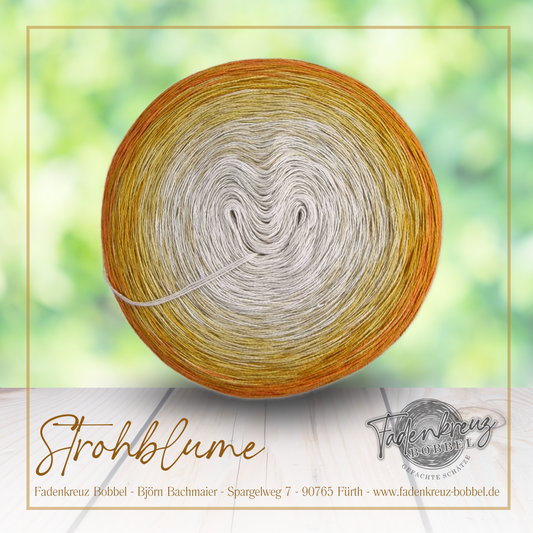 Strohblume